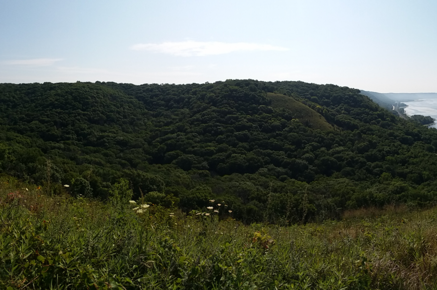 Rush Creek Natural Area