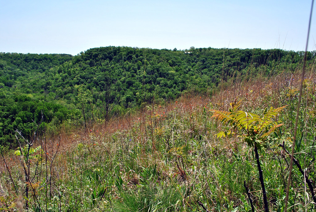 Battle Bluff Prairie State Nature Area